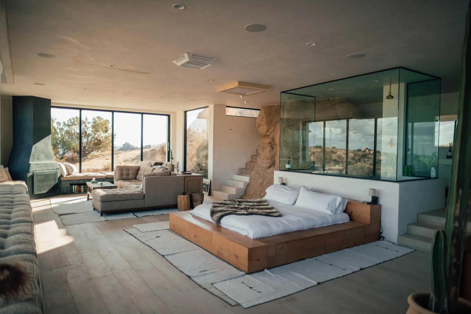 Executive Suite